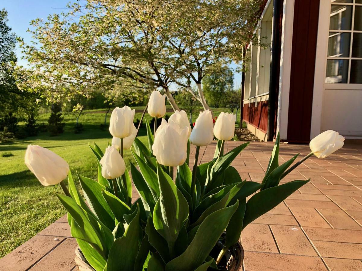 Villa Sofia Boutique Trakai Exteriér fotografie